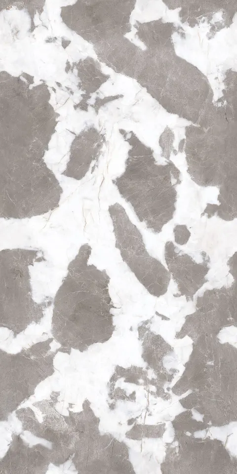 CAMEL ONYX ICE view 5